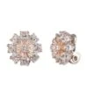 Anne Klein Rose Gold-Tone Crystal Clip Earrings