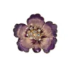 Anne Klein Crystal Flower Brooch